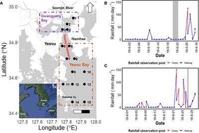 Influence of rainfall events on zooplankton community characteristics and feeding habits in estuarine–coastal environments